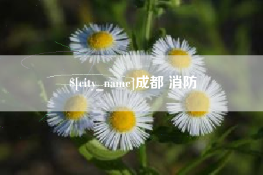 南城成都 消防