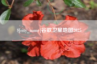 南城谷歌卫星地图2025