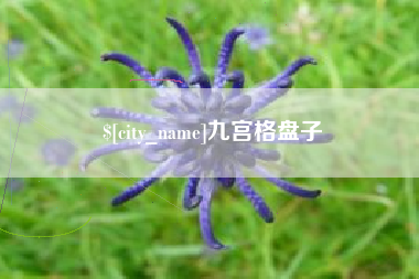 南城九宫格盘子