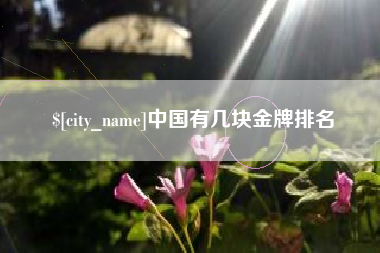 南城中国有几块金牌排名