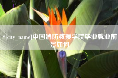 南城中国消防救援学院毕业就业前景如何