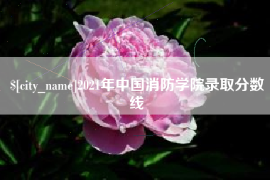 南城2021年中国消防学院录取分数线