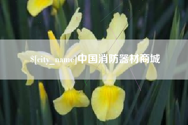 南城中国消防器材商城