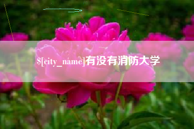 南城有没有消防大学