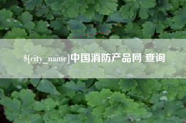 南城中国消防产品网 查询