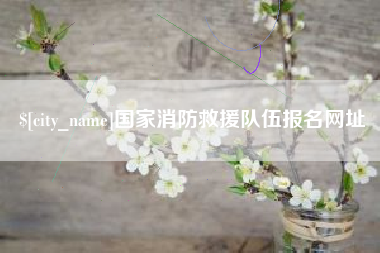 南城国家消防救援队伍报名网址