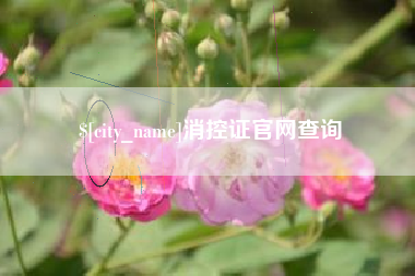 南城消控证官网查询