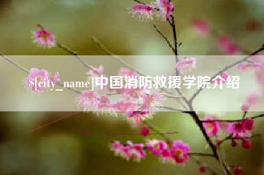 南城中国消防救援学院介绍