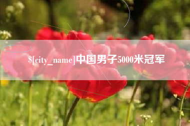 南城中国男子5000米冠军