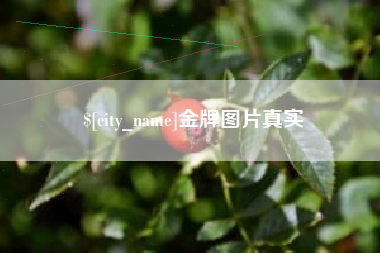 南城金牌图片真实