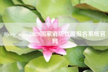 南城2020国家消防救援报名系统官网