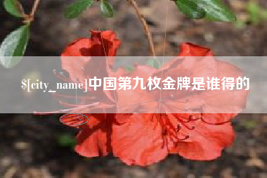南城中国第九枚金牌是谁得的