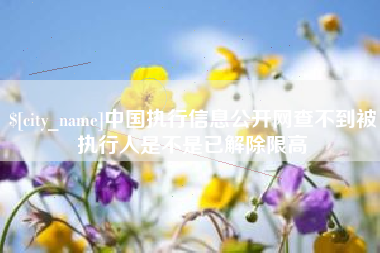 南城中国执行信息公开网查不到被执行人是不是已解除限高