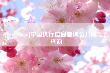 南城中国执行信息查询公开网怎么查询