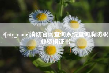 南城消防官网查询系统查询消防职业资格证书
