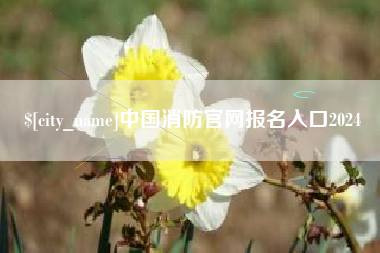 南城中国消防官网报名入口2024