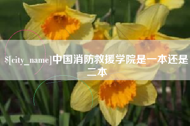 南城中国消防救援学院是一本还是二本