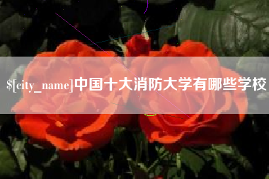 南城中国十大消防大学有哪些学校