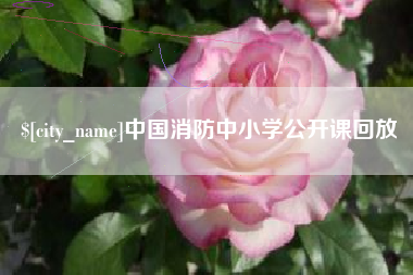 南城中国消防中小学公开课回放