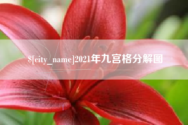 南城2021年九宫格分解图