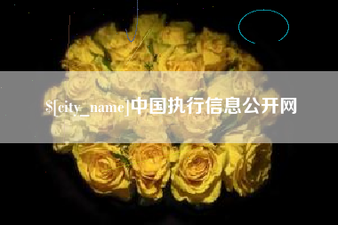 南城中国执行信息公开网