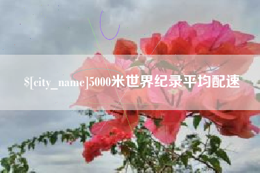 南城5000米世界纪录平均配速