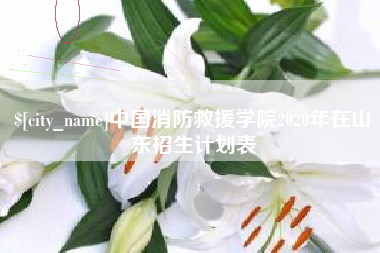 南城中国消防救援学院2020年在山东招生计划表