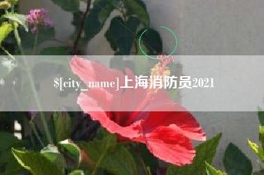 南城上海消防员2021