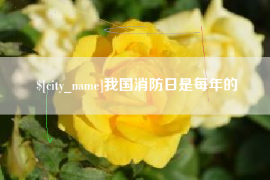 南城我国消防日是每年的