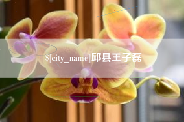 南城邱县王子磊