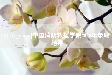 南城中国消防救援学院2020年录取结果