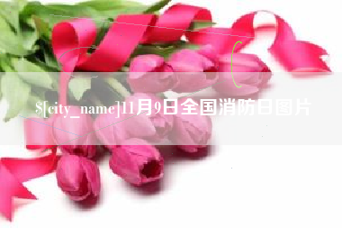 南城11月9日全国消防日图片