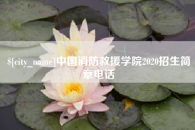 南城中国消防救援学院2020招生简章电话