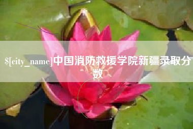 南城中国消防救援学院新疆录取分数