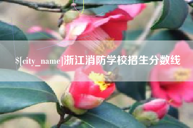 南城浙江消防学校招生分数线