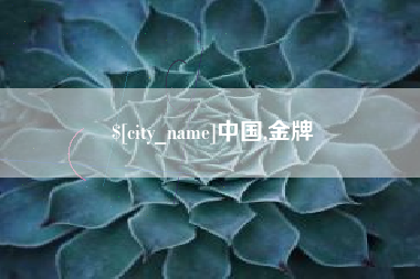 南城中国,金牌