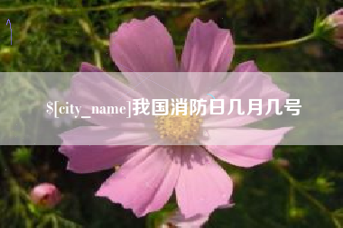 南城我国消防日几月几号