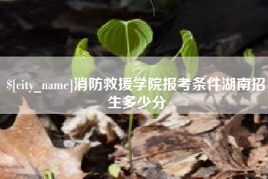 南城消防救援学院报考条件湖南招生多少分