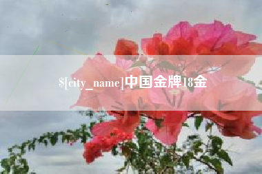南城中国金牌18金