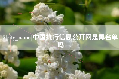 南城中国执行信息公开网是黑名单吗
