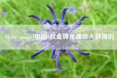 南城中国6枚金牌是哪些人获得的