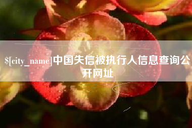 南城中国失信被执行人信息查询公开网址