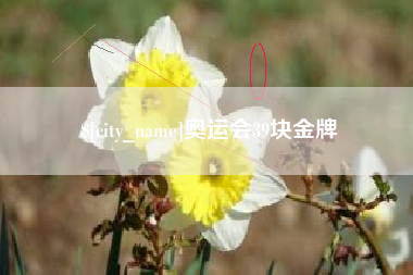 南城奥运会39块金牌