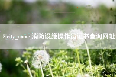 南城消防设施操作员证书查询网址