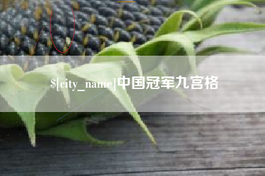 南城中国冠军九宫格