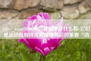 南城5000米世界冠军穿什么鞋-它们是运动员取得优异成绩背后的重要“功臣”