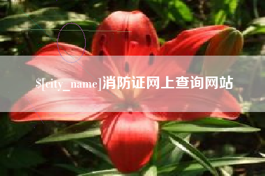 南城消防证网上查询网站