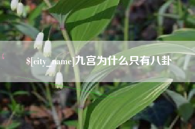 南城九宫为什么只有八卦