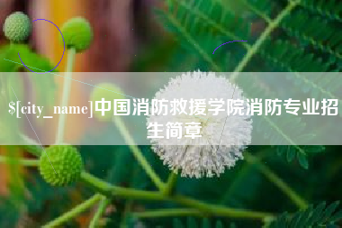 南城中国消防救援学院消防专业招生简章