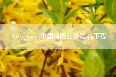 南城中国消防公众号app下载
